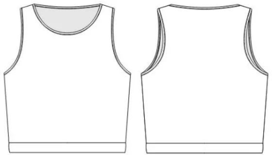 Technical sketch of the Patricia Crop