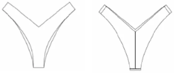 Technical sketch of the Bottom RR 244