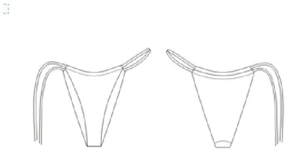 Technical sketch of the Bottom RR 404