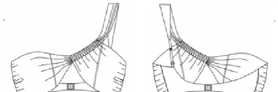 Technical sketch of the Top RR 245